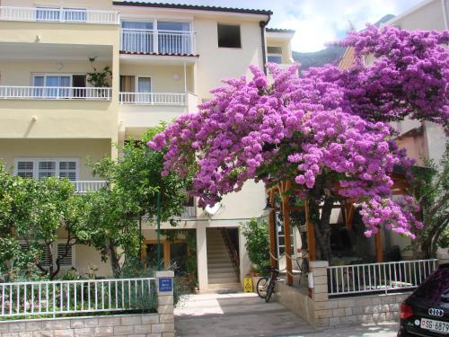 Zahrada ubytování Apartment Letica