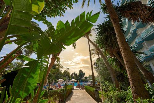 a walkway with palm trees on a resort at Palmasol in Benalmádena