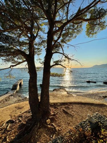 Fotografie z fotogalerie ubytování OAZA MIRA 2 Mobile House - Camp Baško Polje v destinaci Baška Voda