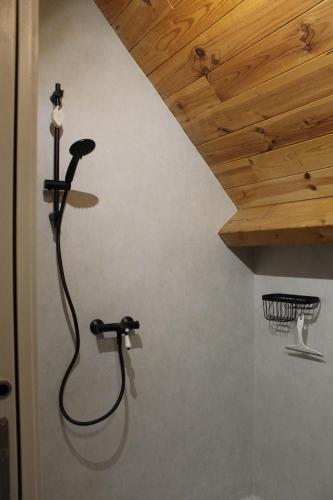 a shower in a bathroom with a wooden ceiling at La grande Ourse in Campan