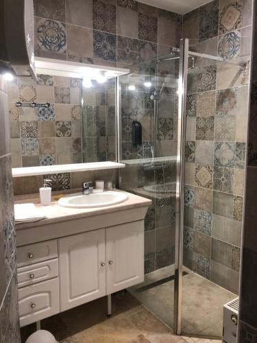 uma casa de banho com um chuveiro, um lavatório e um espelho. em Chambres d'Hôtes de Marchet em Auvillar