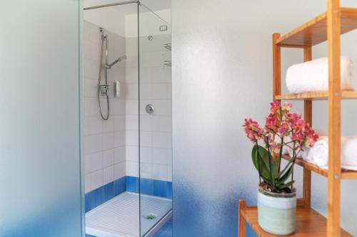 a bathroom with a glass shower stall with a vase of flowers at Hotel Ristorante Cavaliere in Scario