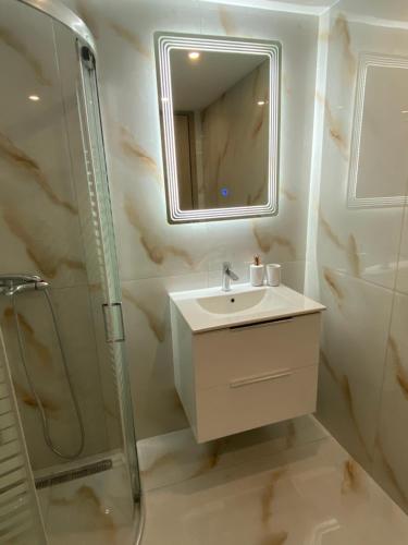 bagno con lavandino, doccia e specchio di Modern Rous Apartment in Athens ad Atene