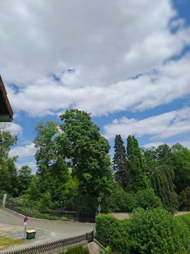 a tree in a park with a fence and trees at Ferienwohnung Am Schloss in Untermerzbach