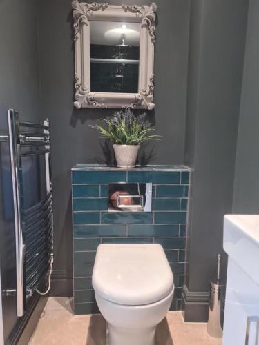 a bathroom with a toilet and a mirror at Dragonfly cottage in Christchurch