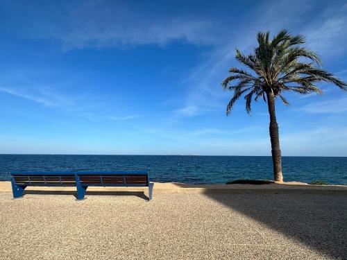 a bench next to a palm tree and the ocean at Bungalow Santa Pola del Este in Gran Alacant