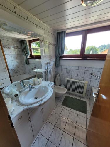 a bathroom with a sink and a toilet at Haus Seebrise in Faak am See