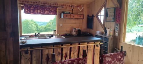uma cozinha com um lavatório e uma janela em Domaine le lanis "cabane de Pauline" em Saint-Girons