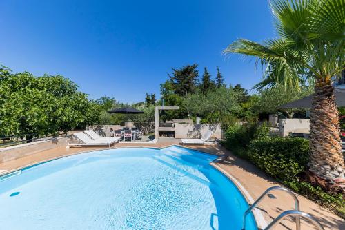einen Pool mit einer Palme im Hof in der Unterkunft Apartments Vallis Rabiosa in Zadar