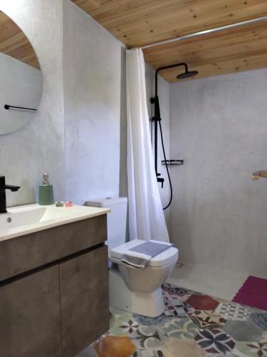 a bathroom with a toilet and a sink and a shower at Chania Olive Home in Kato Daratso