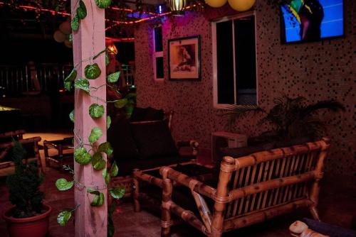 LE NEST ACCOMMODATION – Photos 2