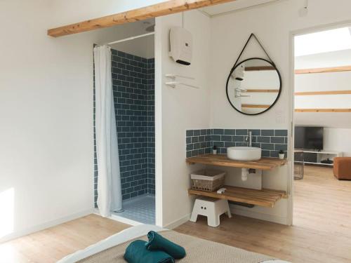 łazienka z umywalką i lustrem na ścianie w obiekcie Les Rives Bleues - atypique et climatisé - 2 salles d'eau - Wifi w mieście Albi