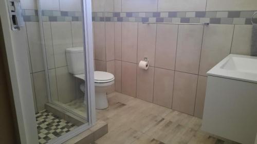 a bathroom with a shower and a toilet and a sink at Villa Siesta Flat No.6 in Margate