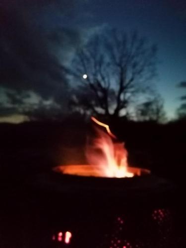 a fire pit at night with a tree in the background at LAKE HOUSE 'VILIN KONAK' in Nikšić