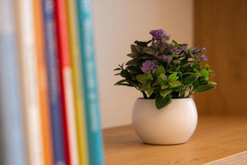 a vase with purple flowers sitting on a table next to books at Butiko in Castelluzzo