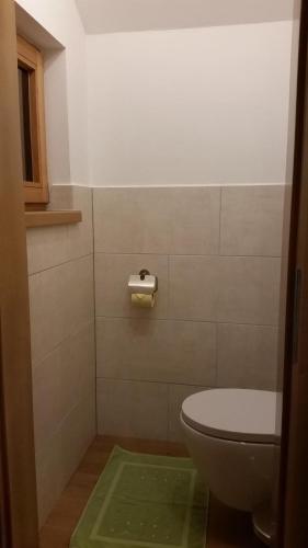 a small bathroom with a toilet and a green rug at Hintergugg in Mittersill