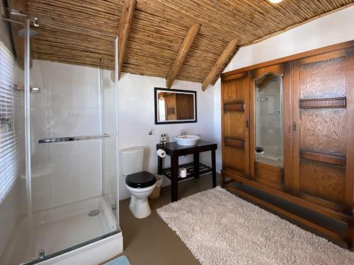 a bathroom with a shower and a toilet and a sink at Shalom in Paternoster