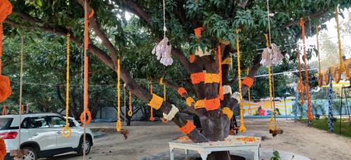a tree with orange decorations hanging from it at Shobhayan inn, airport railway station pickup free in Ayodhya