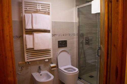 ein Bad mit einem WC, einem Waschbecken und einer Dusche in der Unterkunft Maison Carrel Elegant 1 in Breuil-Cervinia