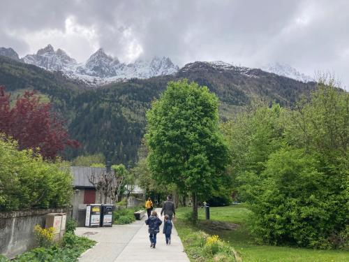Abeille de Chamonix photo 11