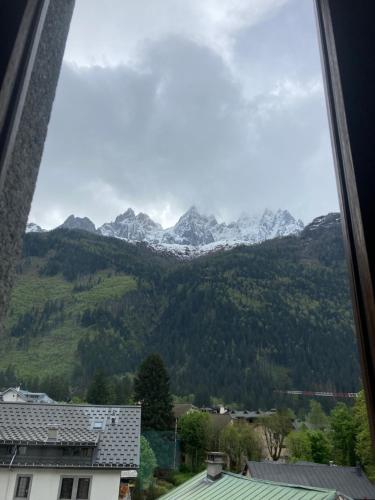 Abeille de Chamonix photo 12