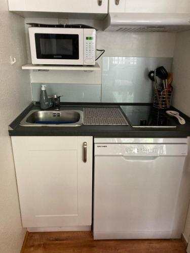 une petite cuisine avec un évier et un micro-ondes dans l'établissement Abeille de Chamonix, à Chamonix-Mont-Blanc