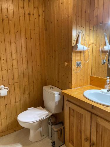een houten badkamer met een toilet en een wastafel bij Abeille de Chamonix in Chamonix-Mont-Blanc