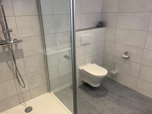 La salle de bains est pourvue de toilettes et d'une douche en verre. dans l'établissement Leicht, à Münsingen