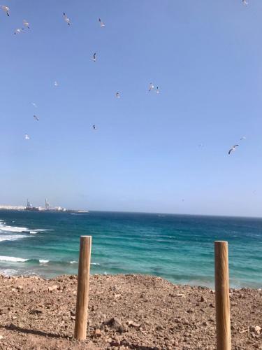 two wooden posts on a beach with the ocean at Fuerteventura Beach Vacations and Blue Mango surf&fitness center at charco in Puerto del Rosario
