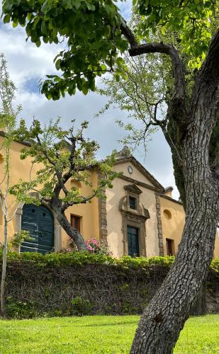 a yellow house with a tree in front of it at Il Falconiere Relais & Spa in Cortona
