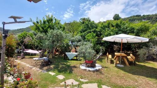 a garden with an umbrella and chairs and trees at Katerina Fotopoulos Rooms & Apartments - Papanero com in Agios Ioannis Pelio