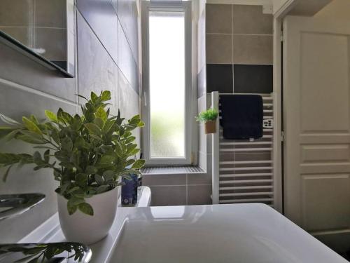 La salle de bains est pourvue d'une plante en pot assise sur un lavabo. dans l'établissement Le Favrel - Appartement avec mezzanine rénové - Gare de Vannes, à Vannes