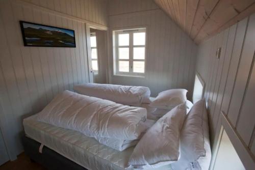 salon z białymi poduszkami na kanapie w obiekcie Day Dream Hellnar w mieście Snæfellsbær