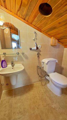 a bathroom with a toilet and a sink at ZEREN APART 2 CENTRUM in Uzungöl