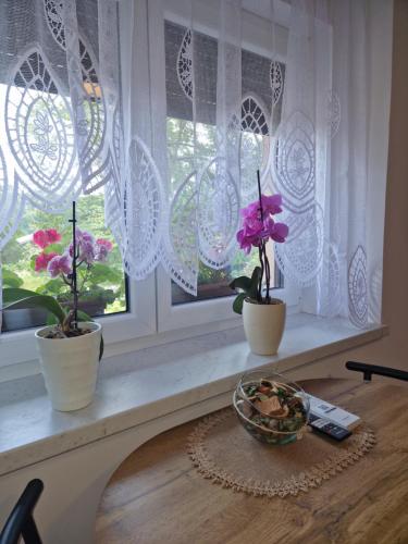 two potted plants sitting on a window sill at Greg's Rooms in Ilirska Bistrica