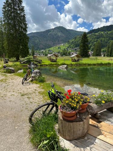 a bike parked next to a body of water with flowers at Casa Felice in Caviola