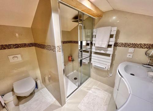 W łazience znajduje się prysznic, toaleta i umywalka. w obiekcie Villa La Source 83 - room close to St Tropez w mieście Cogolin