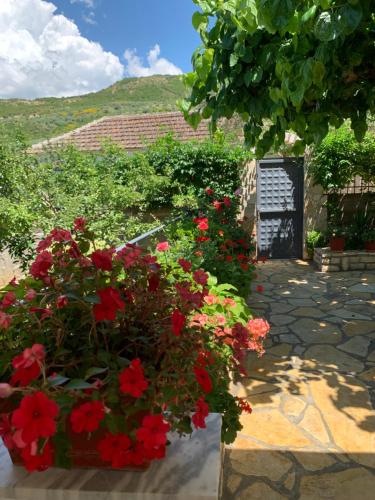 Γενική θέα στο βουνό ή θέα στο βουνό από  αυτός ο ξενώνας