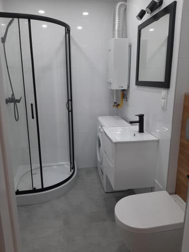 a bathroom with a shower and a toilet and a sink at Apartament Broniewskiego 50m Centrum Nowy Sącz in Nowy Sącz