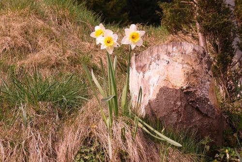 Heinzenhof – Photos 4