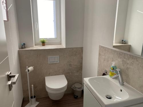 a bathroom with a white toilet and a sink at Ferienhaus Eckeweg 1 in Waldeck