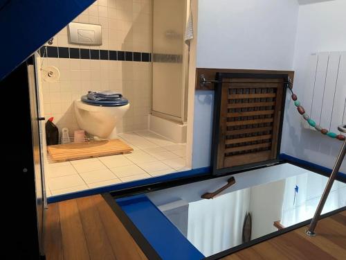 uma pequena casa de banho com WC num quarto em Petite maison de pêcheur em Ile aux Moines