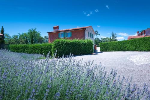 Villa Goretini with private pool – Photos 4