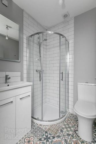 a bathroom with a shower and a toilet and a sink at Modern spacious Belfast city stay free parking in Belfast