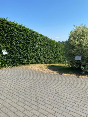 a brick driveway with a hedge and a tree at La belle vue in Born
