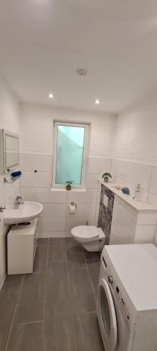 a bathroom with a toilet sink and a washing machine at Ferienhaus Johann in Mürlenbach