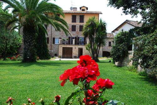 a red flower in front of a house with a palm tree at Da Cristina in Monsampolo del Tronto