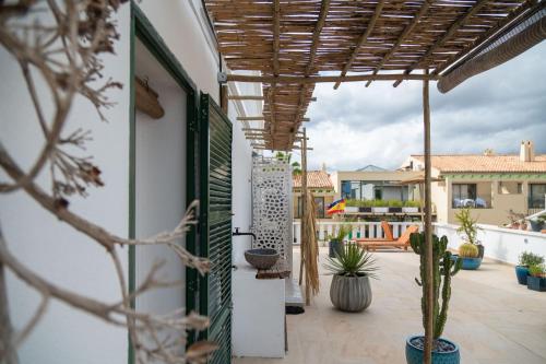 a patio with potted plants and a wooden pergola at GM House Minorca in Cala en Bosc