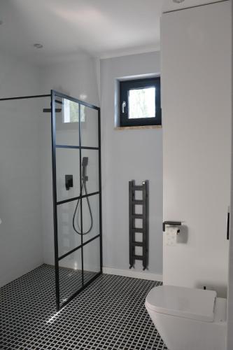 a bathroom with a glass shower and a toilet at Luksusowa Willa Mechelinki in Mechelinki