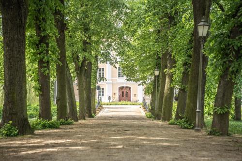 a path through a park with trees in front of a house at Helene in Vetschau